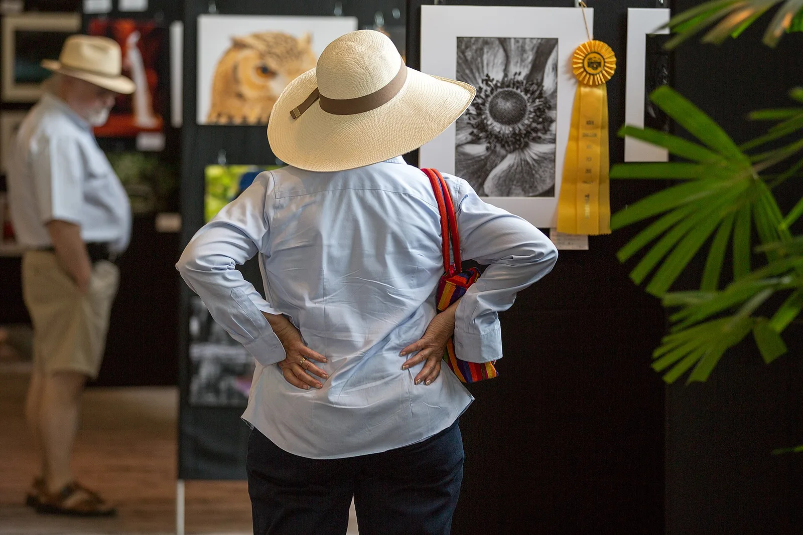 Visitors study ribbon-winning photographs in the judged art exhibition at the North Charleston Arts Fest.